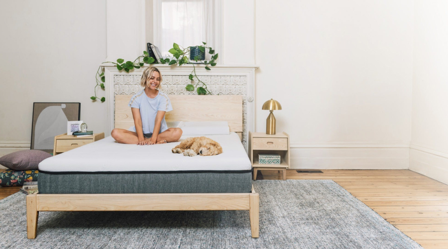 Ecosa Bed Frame Review