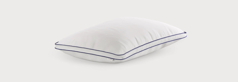 Onebed Pillow Review (2023)
